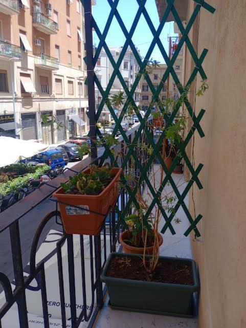 La Vecchia 3* Palermo